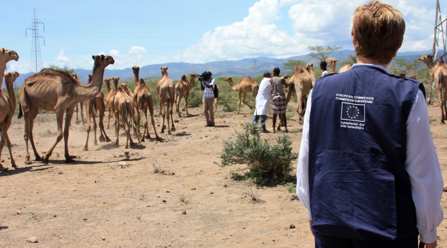 Commissioner Georgieva watches the animal vaccination in Siti Zone