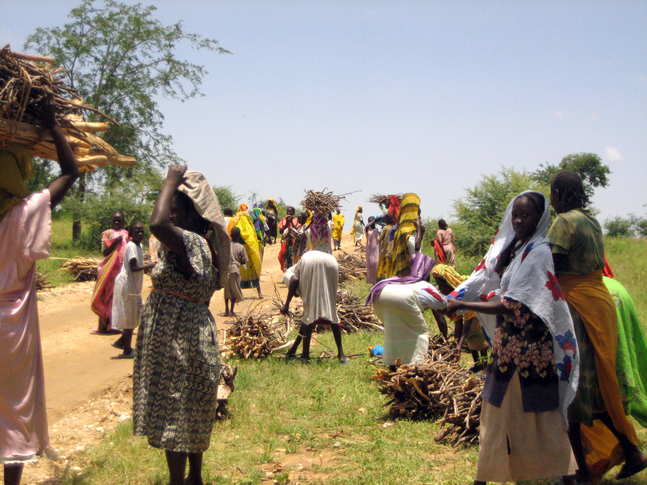 Women collect firewood in Darfur