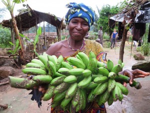 Food security efforts in Côte d’Ivoire