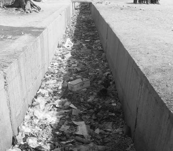 Drainage Project, Zinder June 2010