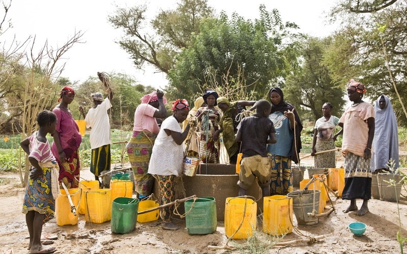 A community vegetable garden in Niger