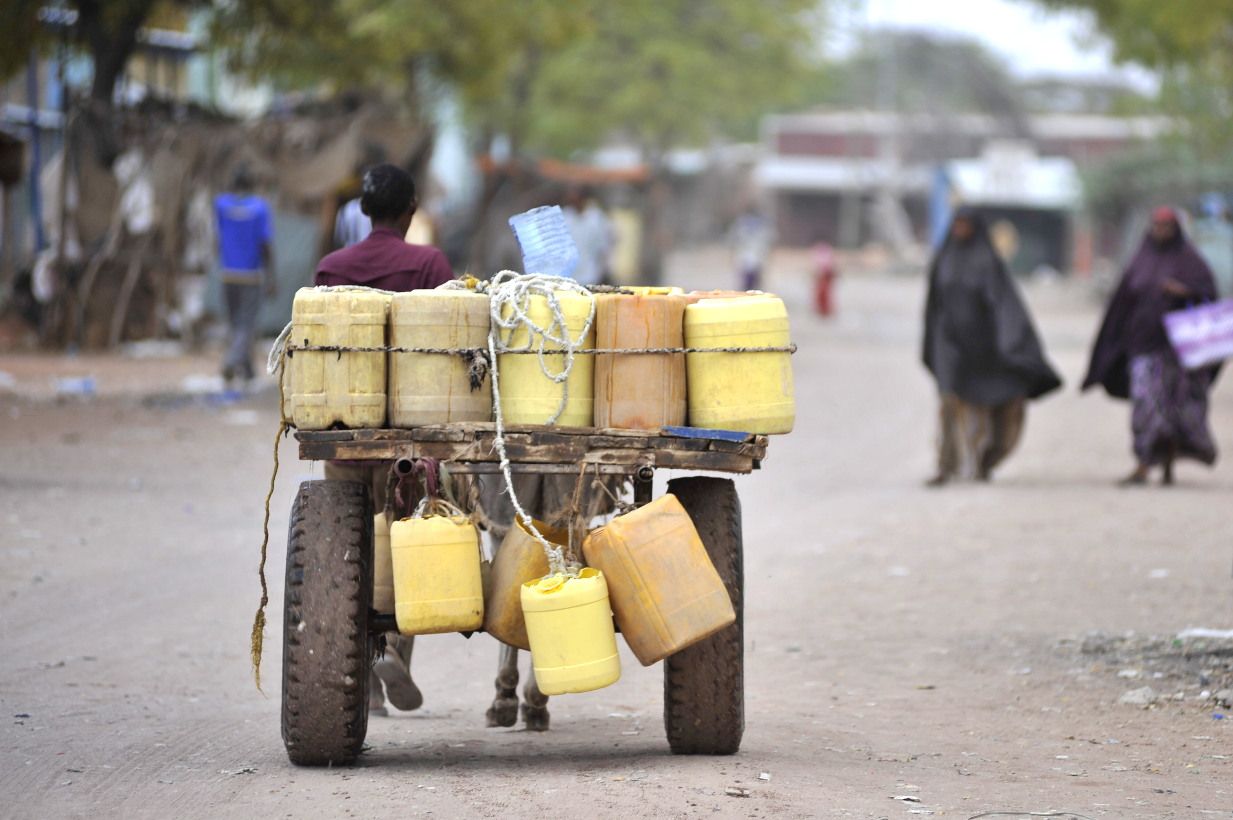 Water being transported in Wajir town, northern Kenya