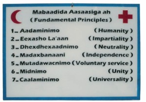Fundamental Principles in Somali