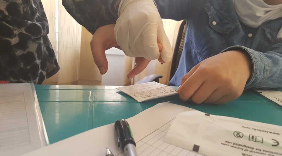 A blood sample being taken for analysis of immune function.