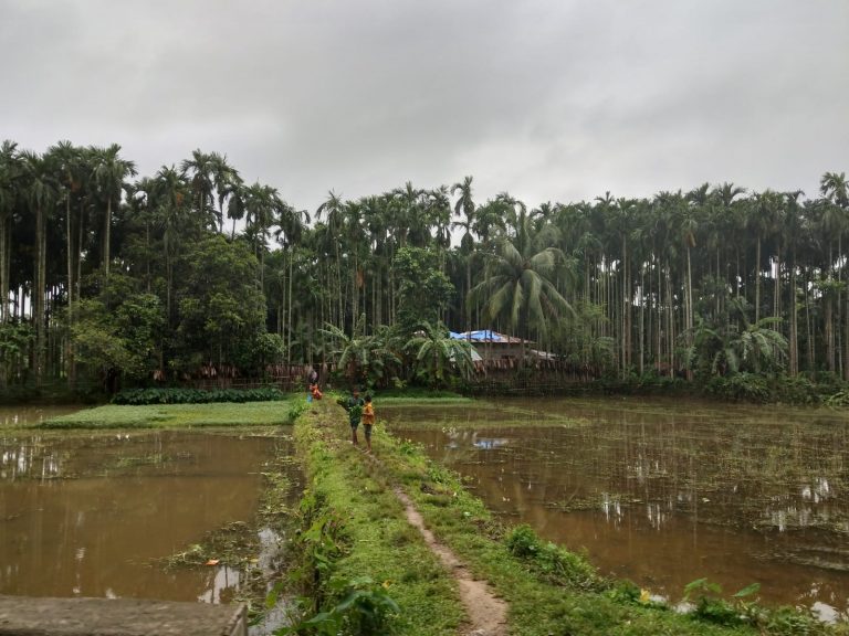 Cox’s Bazar, 2018.