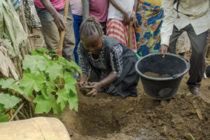 Managing a tree planting program in Masimbembe and Manzanzaba.