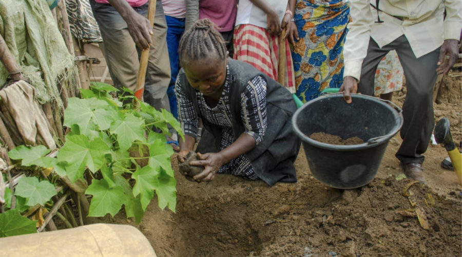 Managing a tree planting program in Masimbembe and Manzanzaba.