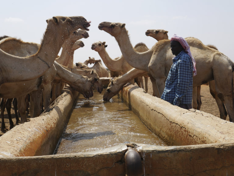 More than 500 camels, goats and sheep visit the borehole according to Abdirashid, a herder in Qodqod village, Somalia. The borehole has been connected to provide water to animal troughs in the village.