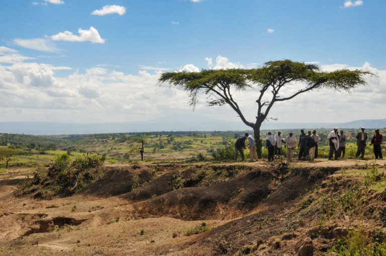 Projet communautaire de plantation d'arbres par SOS Sahel près de Hawassa, Ethiopie en 2014